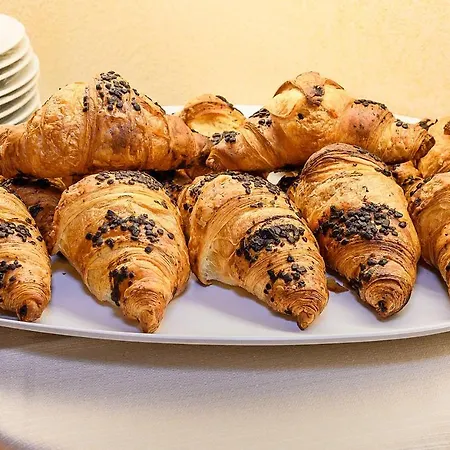 هوتل تشيلي فندق